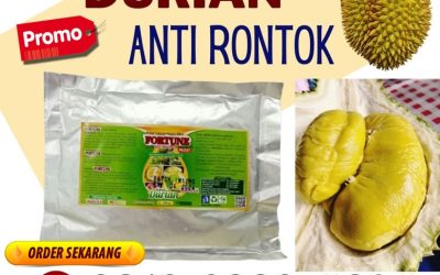 TERLARIS! 0812-2882-4834, PRODUSEN Pupuk Khusus Durian Buol
