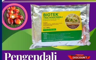 TERLARIS! HUB : 0812*2882*4834, PUSAT Fungisida Hayati Trichoderma Seluma