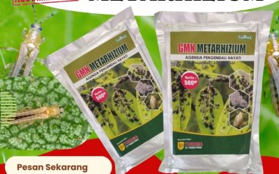 KUALITAS TERUJI! TELP! 0812-2882-4834, PUSAT Obat Pembasmi Hama di Lumajang