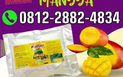 KUALITAS TERUJI! 0812-2882-4834, PUSAT Pupuk Mangga Purwodadi
