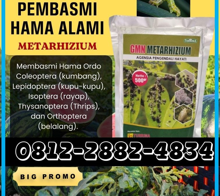 TERBUKTI AMAN! 0812-2882-4834, SUPPLIER Metarhizium Kediri