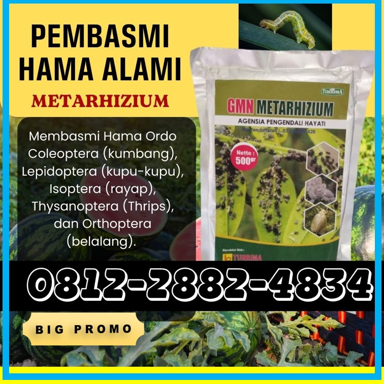SUPPLIER Metarhizium Kediri