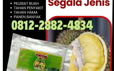 FAST REPON! 0812-2882-4834, SUPPLIER Pupuk Booster Durian Tolitoli