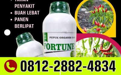 TERBUKTI AMAN! 0812-2882-4834, SUPPLIER Pupuk Organik Cilacap