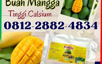 FAST REPON! 0812-2882-4834, SUPPLIER Pupuk Organik Mangga Cilacap
