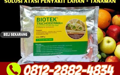 SUBUR! 0812*2882*4834, TOKO Fungisida Tricoderma Arga Makmur