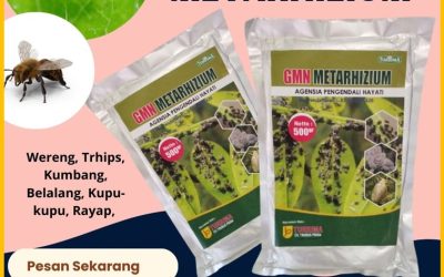 BISA COD! 0812-2882-4834, TOKO Insektisida Alami Jombang