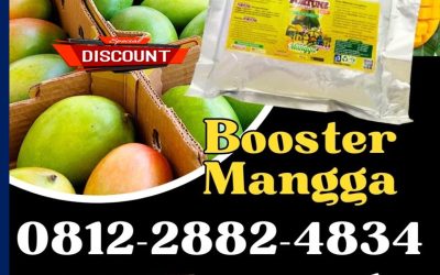 BISA COD! 0812-2882-4834, TOKO Pupuk Booster Mangga Brebes