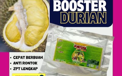 BISA COD! 0812-2882-4834, TOKO Pupuk Buah Durian Tolitoli