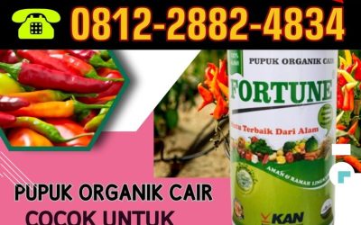 BISA COD! 0812-2882-4834, TOKO Pupuk Organik Cair Fortune Brebes