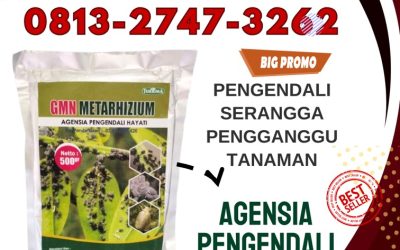 TERBAIK! 0813-2747-3262, DISTRIBUTOR Insektisida Kademangan, Insektisida Hayati Gandusari, Insektisida Alami Baureno