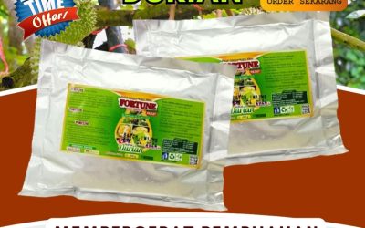 TERBAIK! 0813-2747-3262, DISTRIBUTOR Pupuk Khusus Durian Sigi, Pupuk Organik Durian Sigi Biromaru, Pupuk Durian Terbaik Banggai Laut