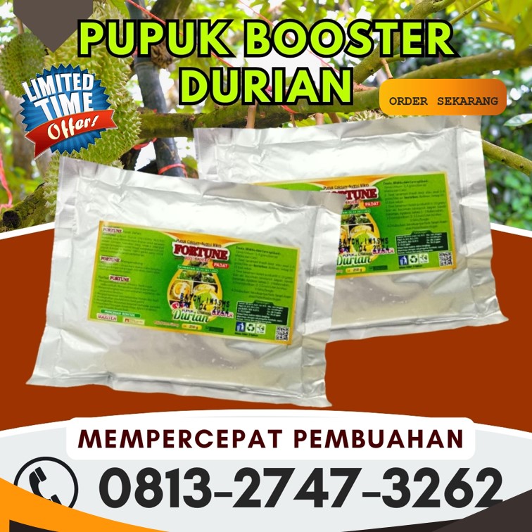 DISTRIBUTOR Pupuk Buah Durian Sigi, AGEN Pupuk Booster Durian Sigi Biromaru, Pupuk Khusus Durian Banggai Laut