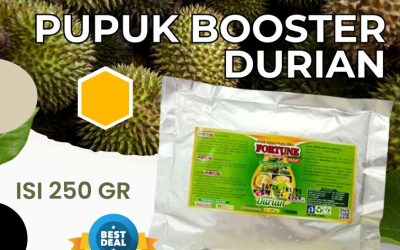 FREE KONSULTASI! 0813-2747-3262, AGEN Pupuk Durian Luwuk, Pupuk Buah Durian Poso, Pupuk Booster Durian Poso