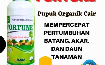 FREE KONSULTASI! 0813-2747-3262, AGEN Pupuk Organik Cabe Kebumen, Pupuk Cabe Kendal, Pupuk Organik Cair Fortune Klaten