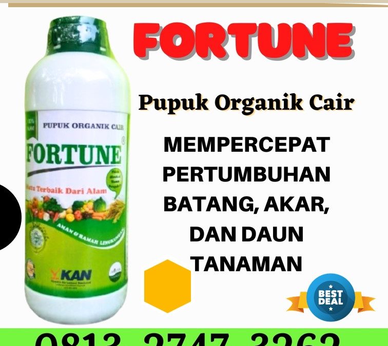 FREE KONSULTASI! 0813-2747-3262, AGEN Pupuk Organik Cabe Kebumen, Pupuk Cabe Kendal, Pupuk Organik Cair Fortune Klaten