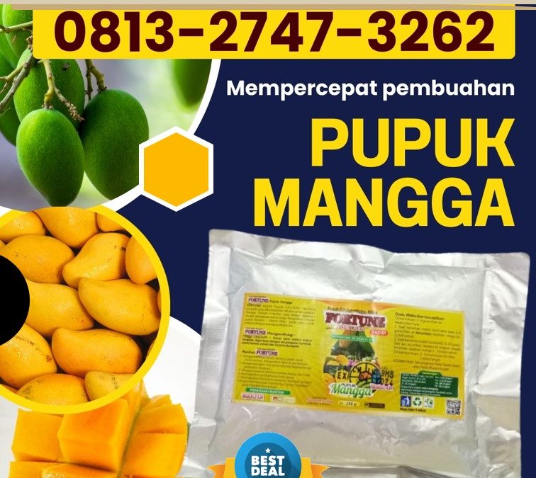 FREE KONSULTASI! 0813-2747-3262, AGEN Booster Mangga Kebumen, Pupuk Mangga Kendal, Pupuk Buah Mangga Klaten