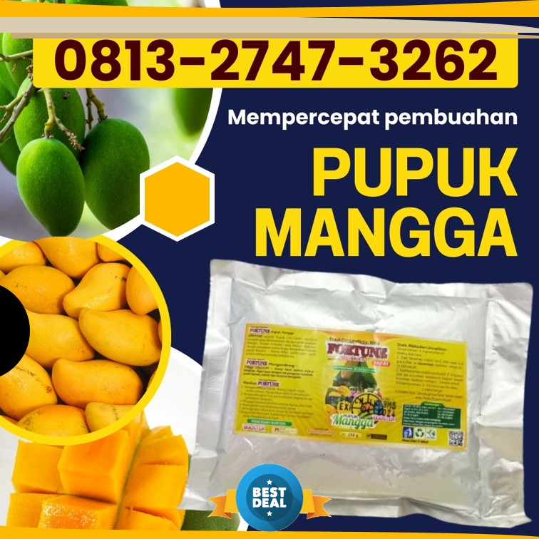 AGEN Pupuk Pohon Mangga Kebumen, DISTRIBUTOR Pupuk Pembuahan Mangga Kendal, Pupuk Buat Pohon Mangga Klaten