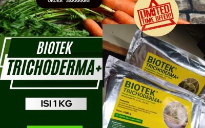 AMANAH! 0813*2747*3262, JUAL Fungisida Tricoderma KandangKandang, Biotek Trichoderma Muara Bangka Hulu, Fungisida Trichoderma Ratu Agung