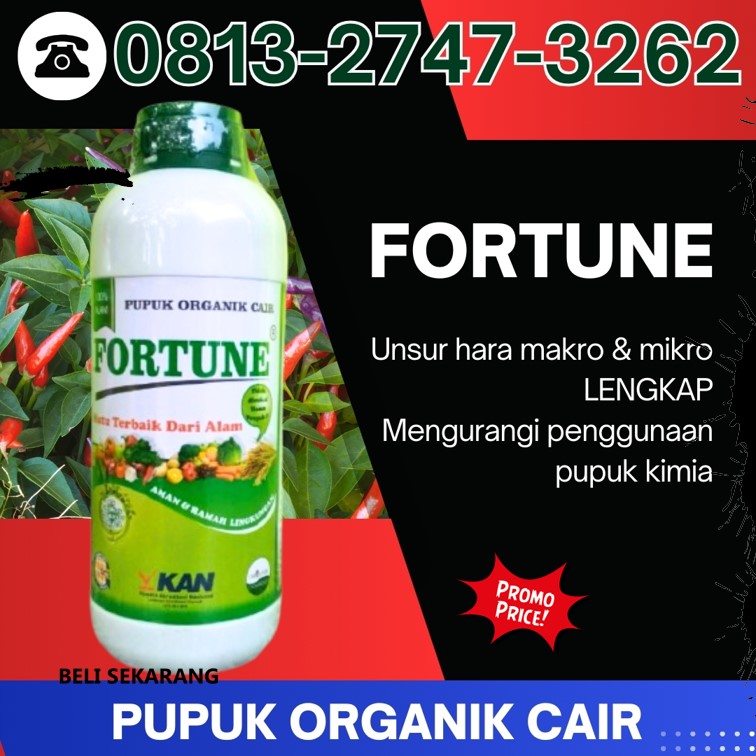 AGEN Pupuk Cabai Rawit Boyolali, TOKO Pupuk Cabe Terbaik Brebes, Pupuk Tanaman Cabe Rawit Cilacap