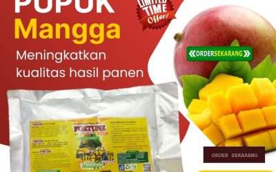 PASTI SUBUR! 0813-2747-3262, AGEN Pupuk Buah Mangga Boyolali, Pupuk Booster Mangga Brebes, Pupuk Organik Mangga Cilacap