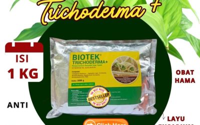 BISA PARTAI! 0813*2747*3262, JUAL Fungisida Tricoderma Muara Aman, Biotek Trichoderma Kepahiang, Fungisida Trichoderma Kepahiang