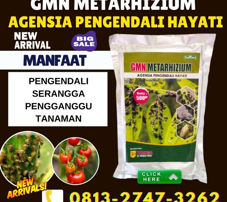 TOKO Insektisida Untuk Wereng Hijau Baureno, SUPPLIER Insektisida Untuk Jagung Kanor, Insektisida Untuk Jeruk Sumberejo