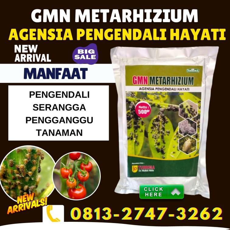 TOKO Insektisida Untuk Wereng Hijau Baureno, SUPPLIER Insektisida Untuk Jagung Kanor, Insektisida Untuk Jeruk Sumberejo