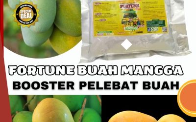 BISA COD! 0813-2747-3262, TOKO Pupuk Booster Mangga Brebes, Pupuk Organik Mangga Cilacap, Booster Mangga Demak