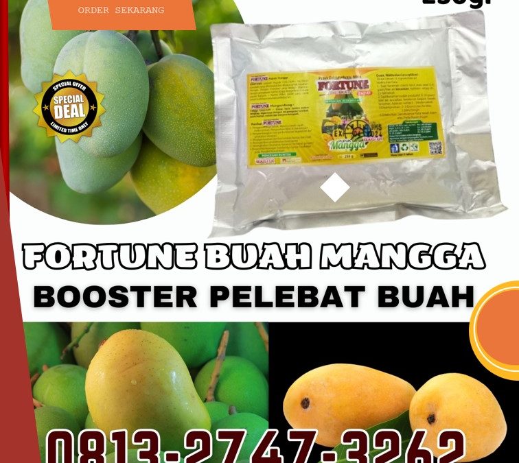 BISA COD! 0813-2747-3262, TOKO Pupuk Booster Mangga Brebes, Pupuk Organik Mangga Cilacap, Booster Mangga Demak