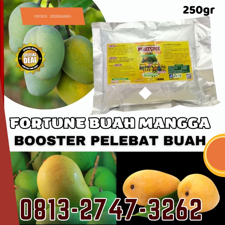 TOKO Pupuk Mangga Berbuah Brebes, SUPPLIER Pupuk Mangga Berbunga Cilacap, Pupuk Buah Mangga Demak