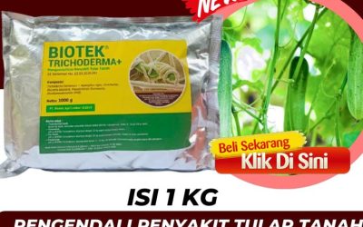 KUALITAS TERUJI! 0813*2747*3262, HARGA Fungisida Trichoderma Kepahiang, Fungisida Hayati Trichoderma Bengkulu Tengah, Fungisida Tricoderma Karang Tinggi