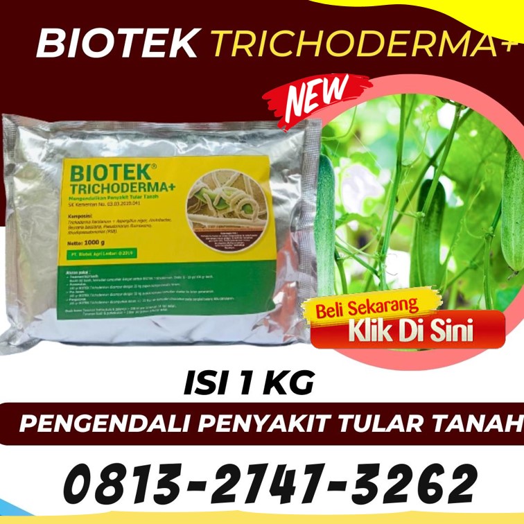 HARGA Fungisida Terbaik Untuk Jagung Kepahiang, AGEN Fungisida Hayati Trichoderma Bengkulu Tengah, Fungisida Tricoderma Karang Tinggi
