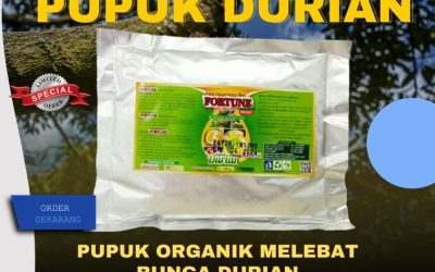 FAST REPON! 0813-2747-3262, SUPPLIER Pupuk Durian Banggai, Pupuk Buah Durian Morowali Utara, Pupuk Booster Durian Kolonedale