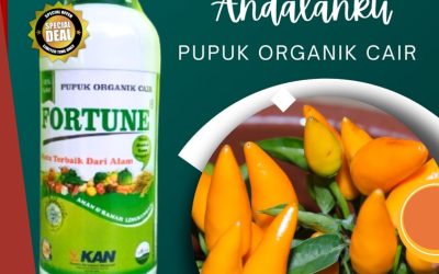 TERBUKTI AMAN! 0813-2747-3262, SUPPLIER Pupuk Cabe Cilacap, Pupuk Organik Cair Fortune Demak, Pupuk Organik Purwodadi