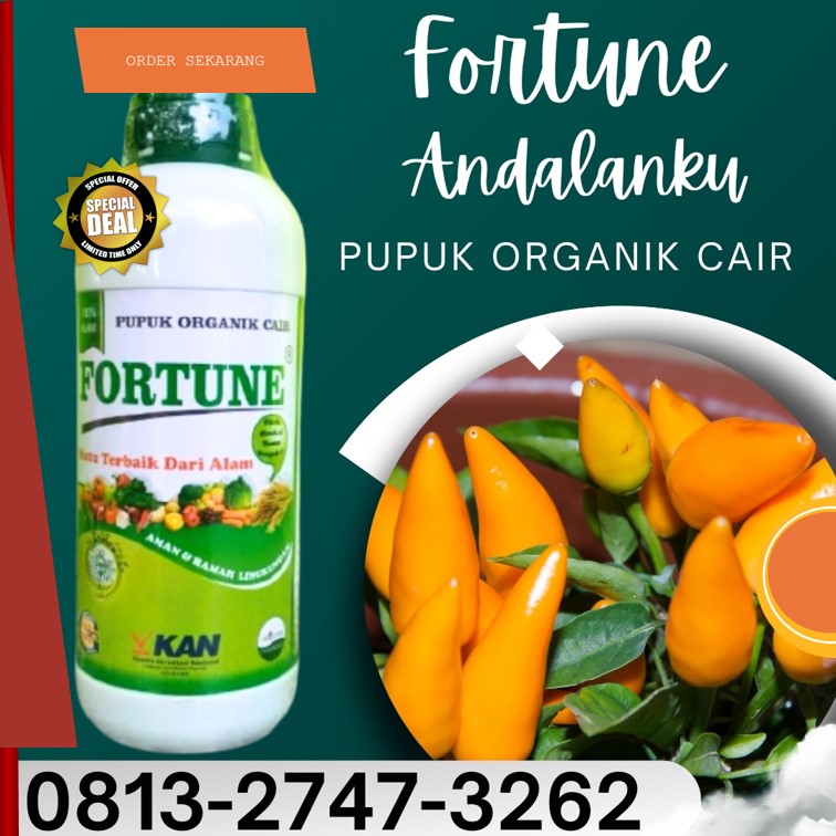 SUPPLIER Pupuk Tanaman Cabe Rawit Cilacap, PRODUSEN Pupuk Untuk Cabe Demak, Pupuk Organik Purwodadi