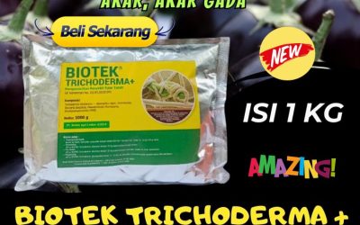 TERPERCAYA! 0813*2747*3262, AGEN Fungisida Hayati Trichoderma Bengkulu Tengah, Fungisida Tricoderma Karang Tinggi, Biotek Trichoderma Kota Bengkulu