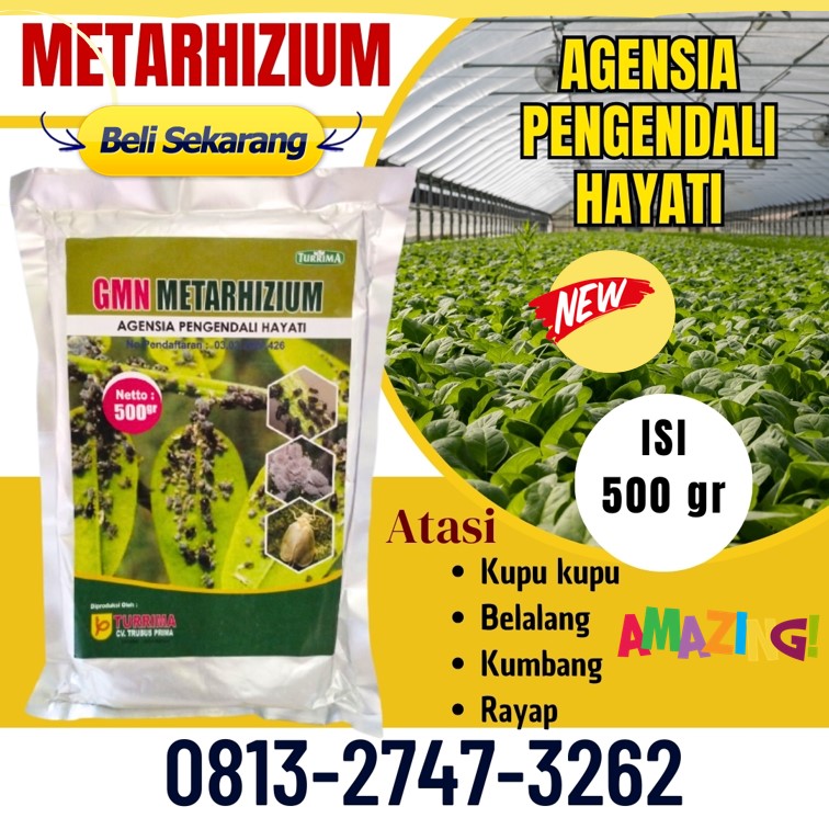 PRODUSEN Insektisida Untuk Jeruk Sumberejo, PUSAT Insektisida Untuk Melon Cermee, Insektisida Untuk Oteng Oteng Wringin