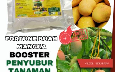 TERLARIS! 0813-2747-3262, PRODUSEN Booster Mangga Demak, Pupuk Mangga Purwodadi, Pupuk Buah Mangga Jepara