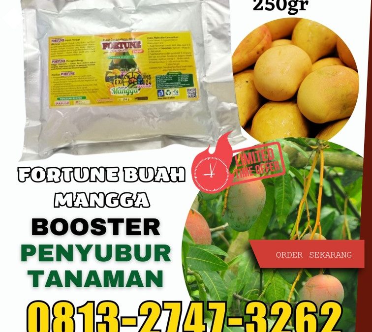 TERLARIS! 0813-2747-3262, PRODUSEN Booster Mangga Demak, Pupuk Mangga Purwodadi, Pupuk Buah Mangga Jepara