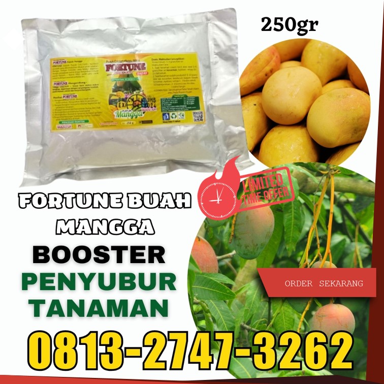 PRODUSEN Pupuk Buah Mangga Demak, PUSAT Pupuk Booster Mangga Purwodadi, Pupuk Perangsang Buah Mangga Jepara