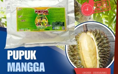 TERLARIS! 0813-2747-3262, PRODUSEN Pupuk Buah Durian Morowali Utara, Pupuk Booster Durian Kolonedale, Pupuk Khusus Durian Kota Palu