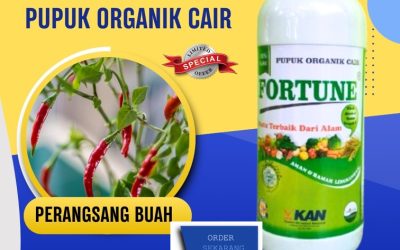 TERLARIS! 0813-2747-3262, PRODUSEN Pupuk Organik Cair Fortune Demak, Pupuk Organik Purwodadi, Pupuk Organik Cair Jepara