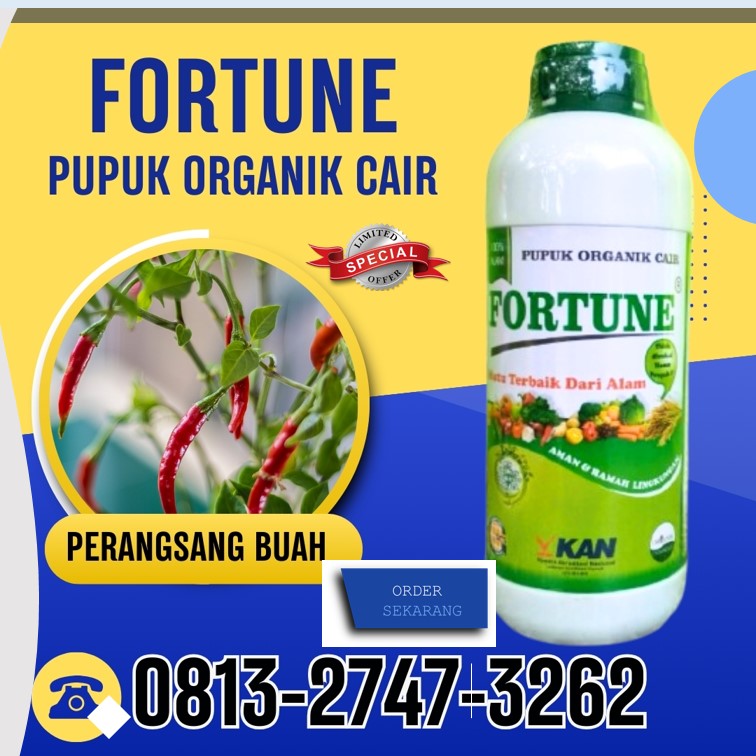 PRODUSEN Pupuk Untuk Cabe Demak, PUSAT Pupuk Organik Purwodadi, Pupuk Organik Cair Jepara, Pupuk Organik Cair Terbaik Karanganyar