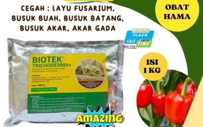 ASLI! 0813*2747*3262, DISTRIBUTOR Fungisida Tricoderma Karang Tinggi, Biotek Trichoderma Kota Bengkulu, Fungisida Trichoderma Gading Cempaka