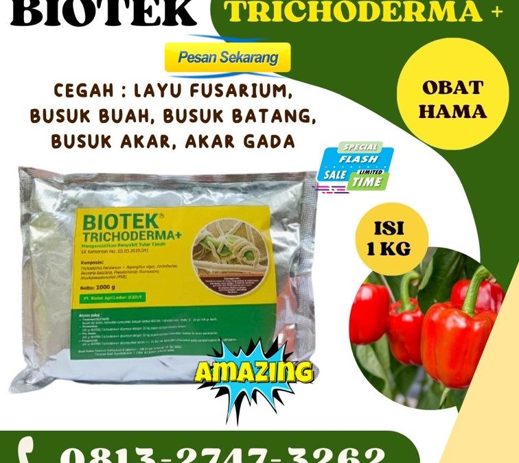 ASLI! 0813*2747*3262, DISTRIBUTOR Fungisida Tricoderma Karang Tinggi, Biotek Trichoderma Kota Bengkulu, Fungisida Trichoderma Gading Cempaka