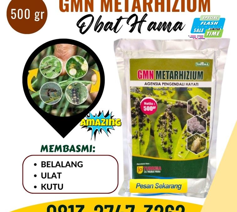 KUALITAS TERUJI! 0813-2747-3262, PUSAT Obat Pembasmi Hama Cermee, Obat Hama Wringin, Pembasmi Hama Balongpanggang