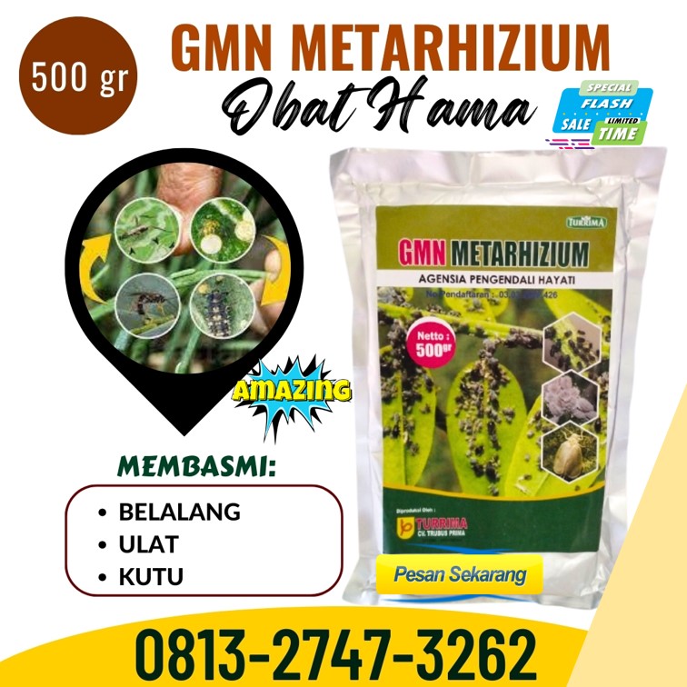 PUSAT Insektisida Untuk Melon Cermee, JUAL Insektisida Untuk Oteng Oteng Wringin, Insektisida Untuk Orong Orong Balongpanggang