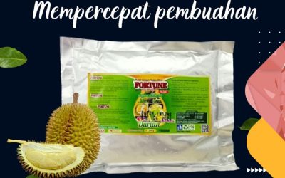 KUALITAS TERUJI! 0813-2747-3262, PUSAT Pupuk Booster Durian Kolonedale, Pupuk Khusus Durian Kota Palu, Pupuk Organik Durian Palu