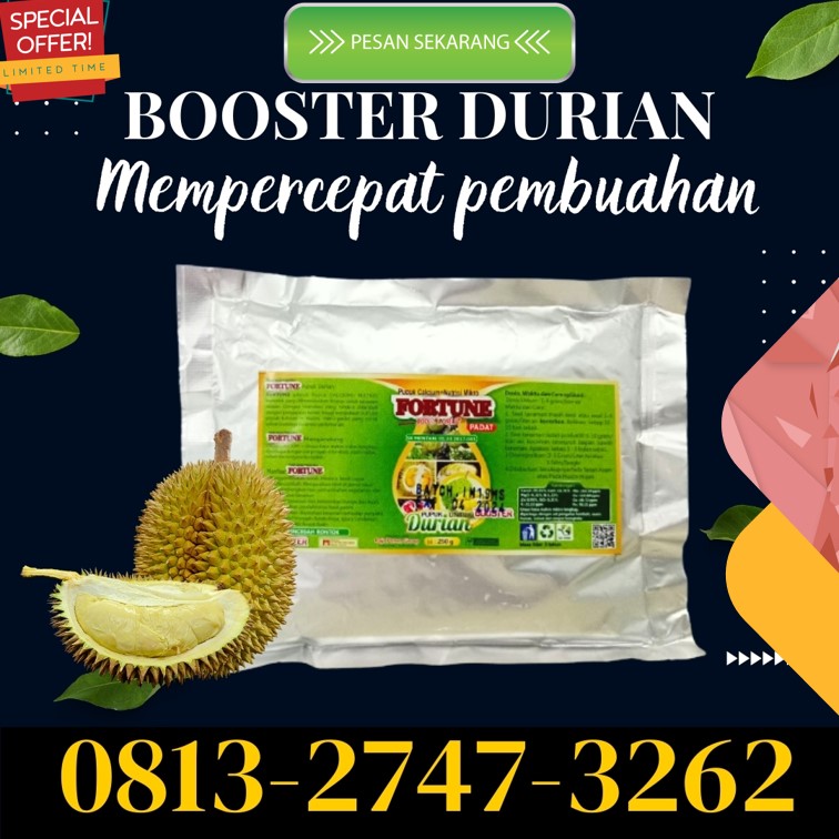 PUSAT Pupuk Durian Kolonedale, JUAL Pupuk Durian Agar Cepat Berbuah Kota Palu, Pupuk Durian Agar Cepat Besar Palu